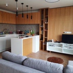 PRONAJATO OV, 2+KK/L, panel, 57 m2, Praha 5 - Zbraslav, po kompletní rekonstrukci, krásný výhled, 12.500,-- + 2.500,-- poplatky/měs